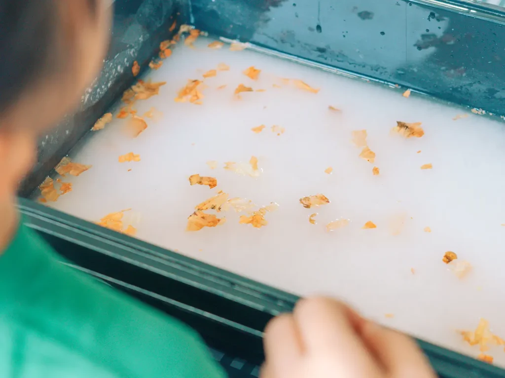 やさいくる紙すき